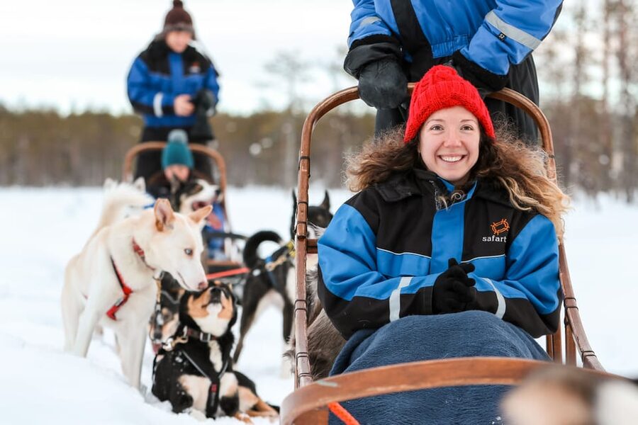 Rovaniemi: Daytime Husky Safari - Who this husky safari is perfect for