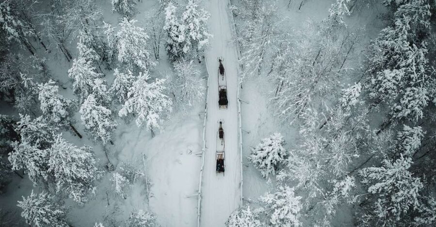 Rovaniemi: Daytime Reindeer Sleigh Ride - Starting at SAFARTICA OFFICE, and why timing matters