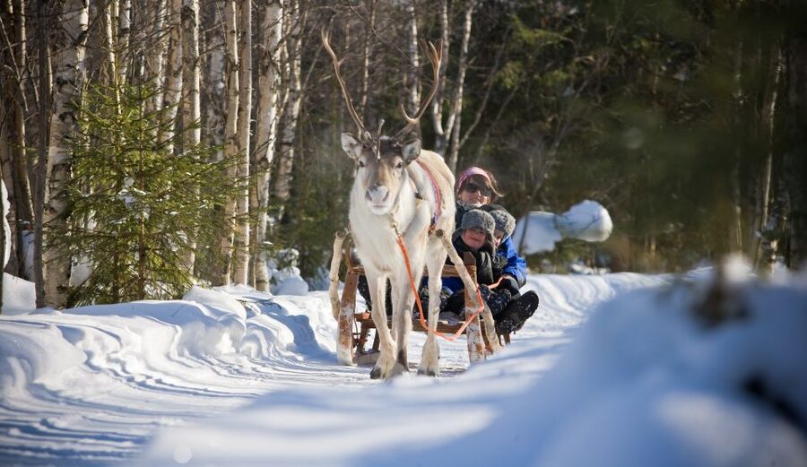 Rovaniemi: Daytime Reindeer Sleigh Ride - Warming up in a kota tepee with hot drinks