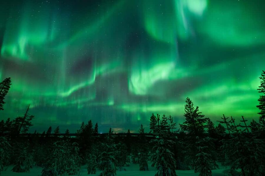 Rovaniemi: Discover the Northern Lights Photography Tour - Price and value, is $165 fair for what you get?