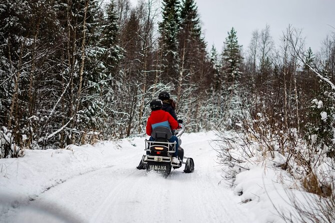 Rovaniemi: Drive New 2025 Snowmobiles on Arctic Safari & BBQ - Quick hits