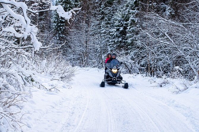 Rovaniemi: Drive New 2025 Snowmobiles on Arctic Safari & BBQ - Group size, transport, and why logistics matter
