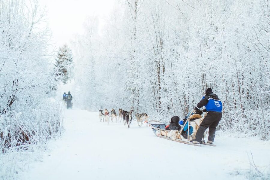 Rovaniemi: Early Winter Husky Sled Ride - Safety and comfort reality check: cold, control, and what not to do