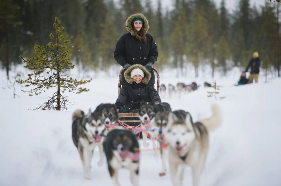 Rovaniemi: Family Friendly Husky Ride and Farm Visit - Snacks, hot drinks, and the family-friendly pace