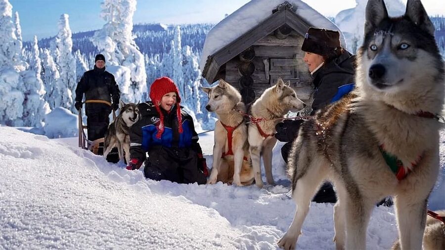 Rovaniemi: Family Friendly Husky Ride and Farm Visit - Before the sled: how the warm-up works (and what you might want to ask)