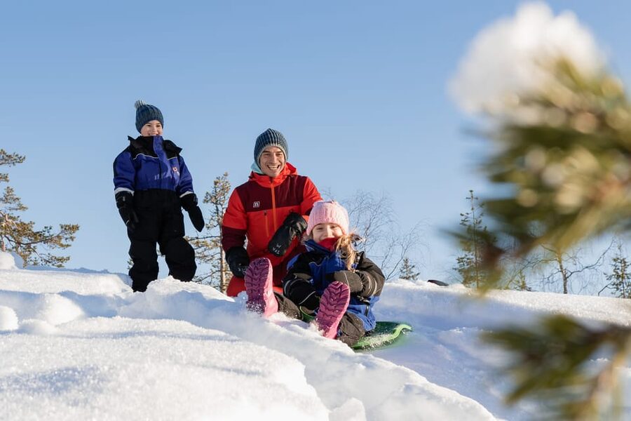 Rovaniemi: Family Snowmobile Trip with Guide and Picnic - Key Things I’d Focus On Before You Go