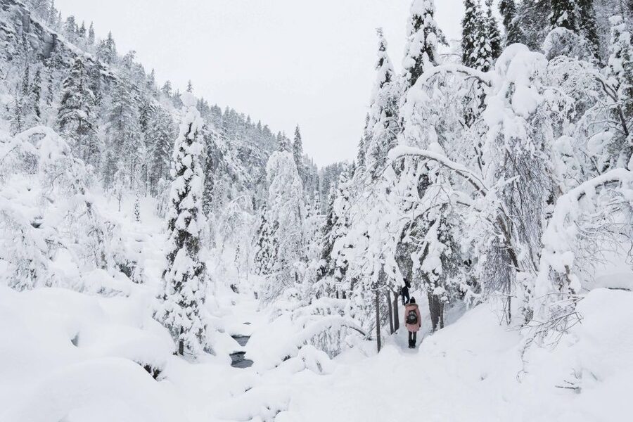 Rovaniemi: Frozen Waterfalls of Korouoma Canyon & Pro Photos - Photo stops that feel planned, not random
