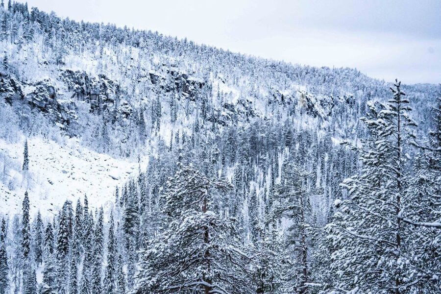 Rovaniemi: Frozen Waterfalls of Korouoma Canyon & Pro Photos - Who should book this frozen waterfall hike, and who should skip it