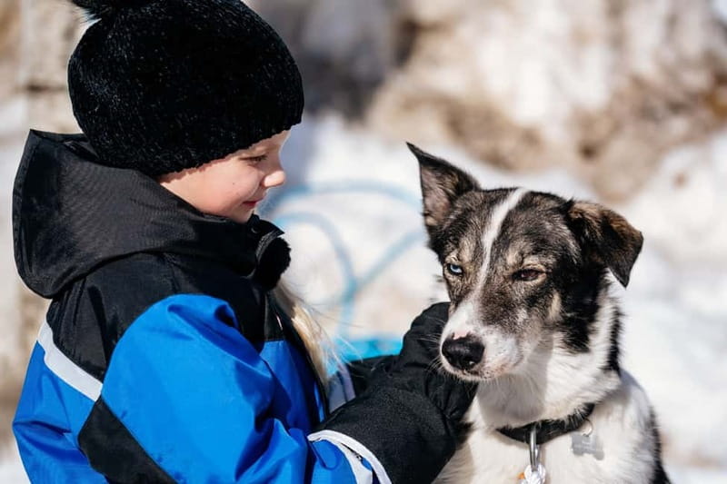 Rovaniemi: Full-Day Snow and Fun Activities - A winter day that feels like Lapland, not a checklist