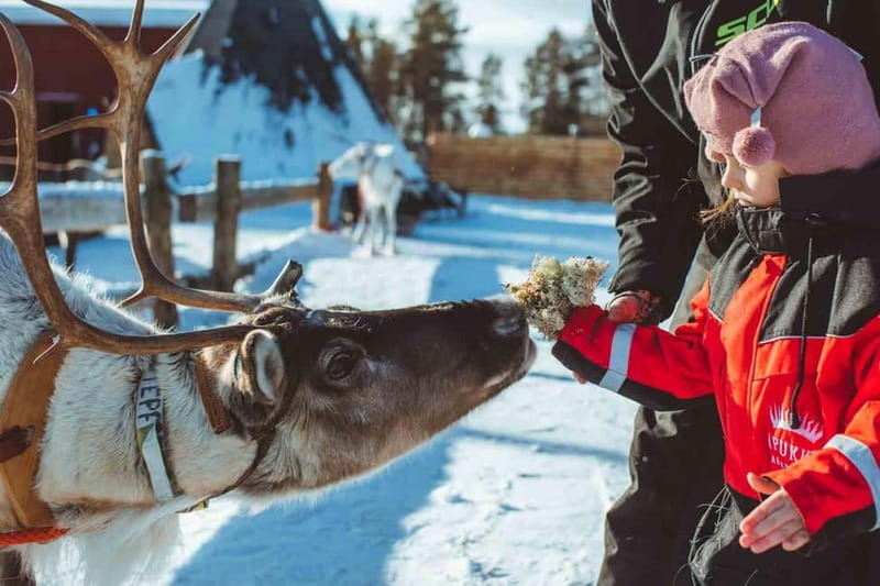 Rovaniemi: Full-Day Snow and Fun Activities - Lunch at 13:00: where the day refuels