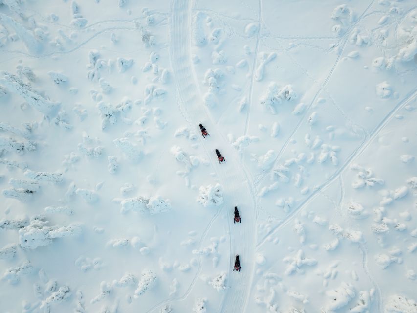 Rovaniemi: Full-Day Snowmobile Safari into the Wilderness - The Value Sweet Spot: Why This 6-Hour Wilderness Ride Costs $293