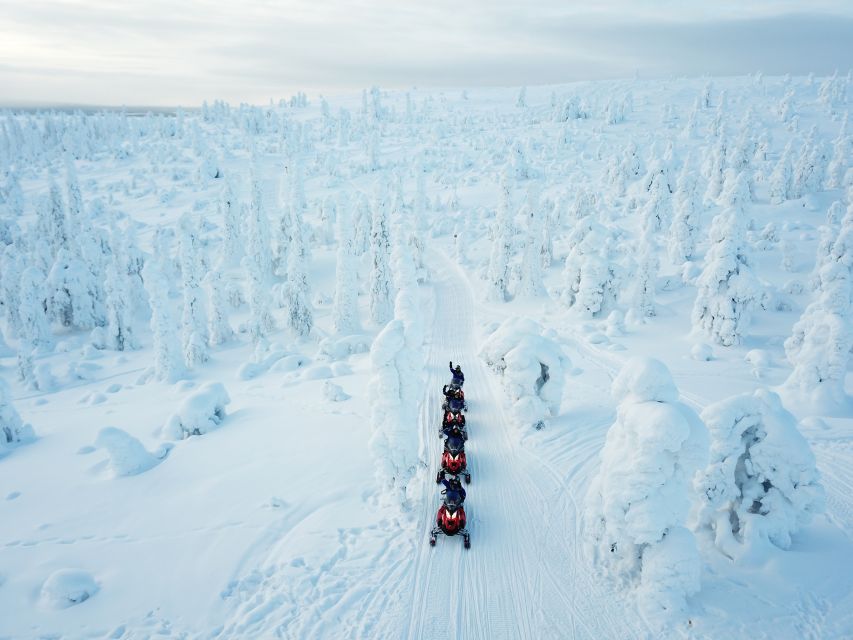 Rovaniemi: Full-Day Snowmobile Safari into the Wilderness - Stops With a Purpose: Fire, Warm Drinks, and Real Lapland Breaks