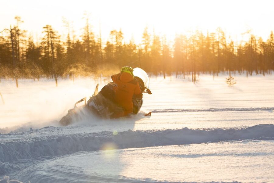 Rovaniemi: Full-Day Snowmobile Safari into the Wilderness - Wildlife Moments: What You Might See Along the Way