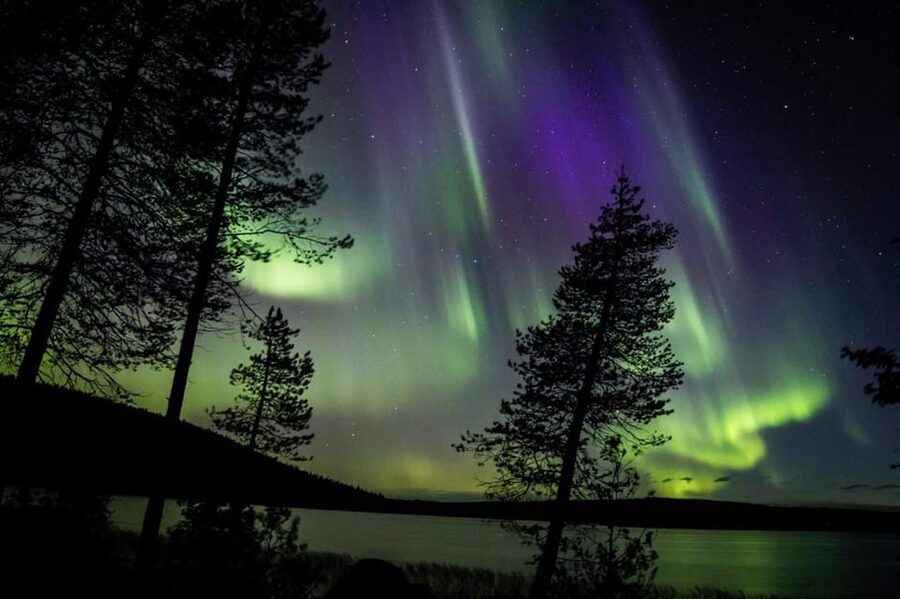 Rovaniemi: Guaranteed Aurora Hunting Tour with Local Guide - A quick call: should you book this aurora guarantee hunt?
