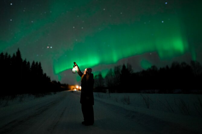 Rovaniemi: Guaranteed Northern Lights - Small Group & Photography - Why small-group Northern Lights hunting in Rovaniemi feels different