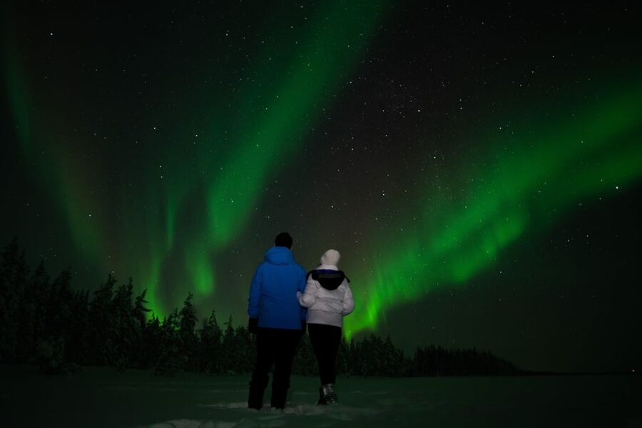 Rovaniemi: Guided Northern Lights Tour - Key Things to Know Before You Go