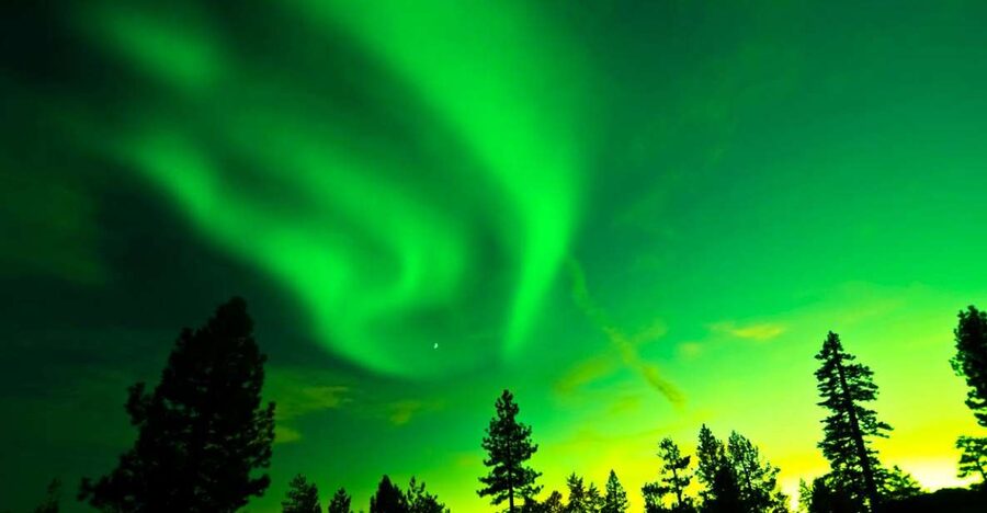 Rovaniemi: Guided Northern Lights Tour - Learning the Polar Lights: What the Guide Adds