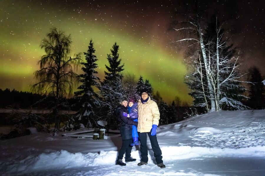 Rovaniemi: Guided Northern Lights Tour - Price and What You Actually Get for $84