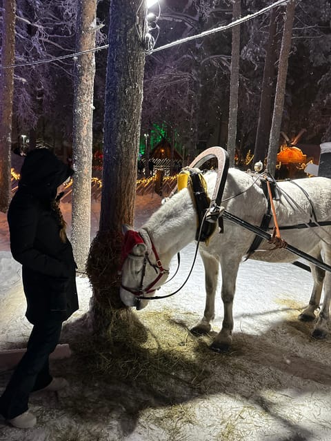 Rovaniemi: Guided Tour of Santa Claus Village - Key things that make this tour worth it