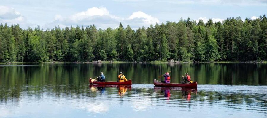 Rovaniemi: Guided Wilderness Kayaking Adventure - Meeting In Rovaniemi: Pickup, Timing, and Getting Set Up Fast