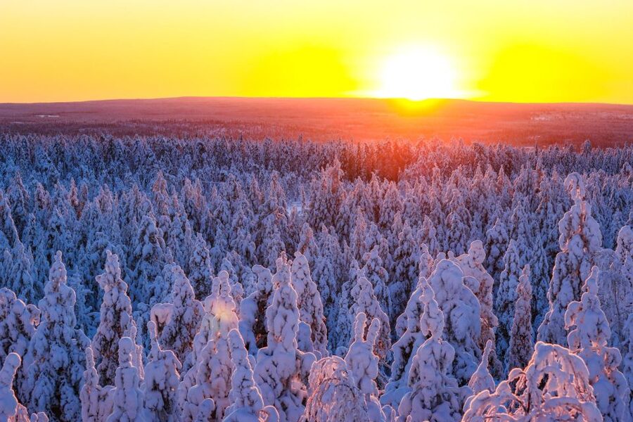 Rovaniemi: Guided Wilderness Snowmobile Ride - Key highlights you will feel right away