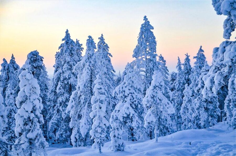 Rovaniemi: Guided Wilderness Snowmobile Ride - How the snowmobile safety briefing sets you up