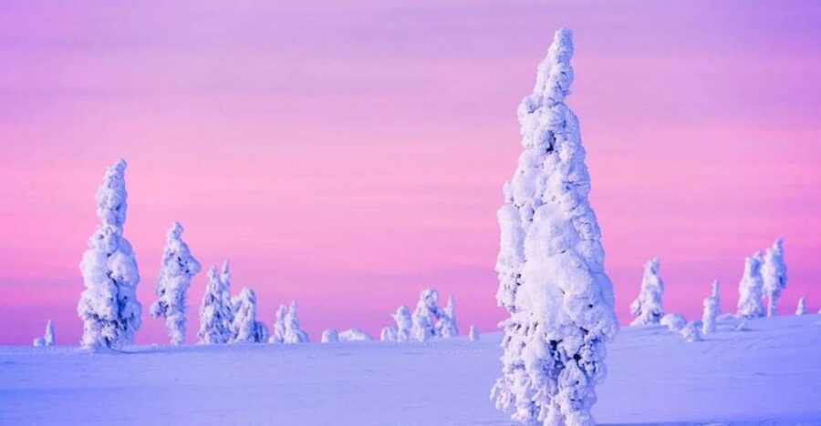 Rovaniemi: Half-Day Snowmobile & Ice Fishing Experience - Ice Fishing on Frozen Lakes: Drilling, Waiting, and the Atmosphere