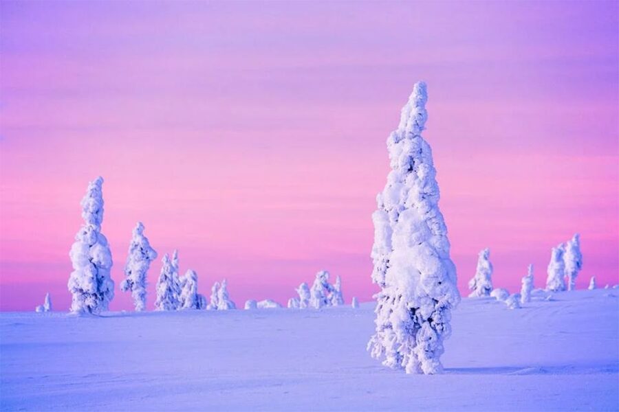 Rovaniemi: Half-Day Snowmobile & Ice Fishing Experience - When the Catch Is Not the Point: The Lappish BBQ Payoff