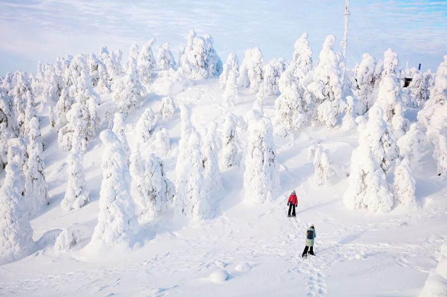 Rovaniemi: Hiking and Snowshoeing Adventure in Lapland - Snowshoes, winter boots, and staying comfortable