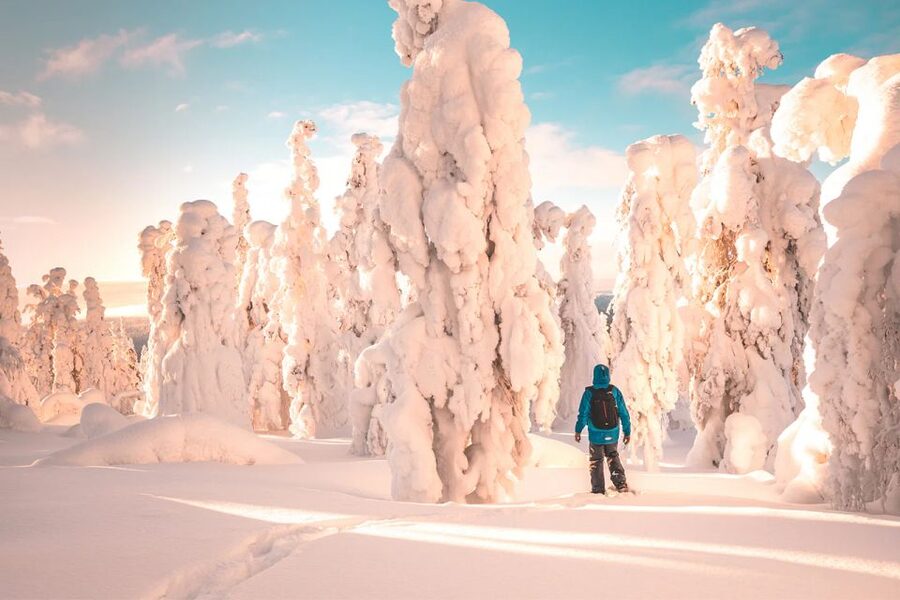 Rovaniemi: Hiking and Snowshoeing Adventure in Lapland - Arctic Circle viewpoints: what you’re actually going for