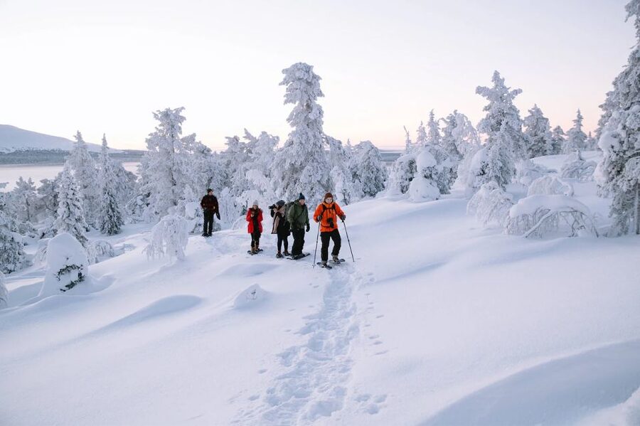 Rovaniemi: Hiking and Snowshoeing Adventure in Lapland - The 3-hour flow: pickup to Arctic Circle views