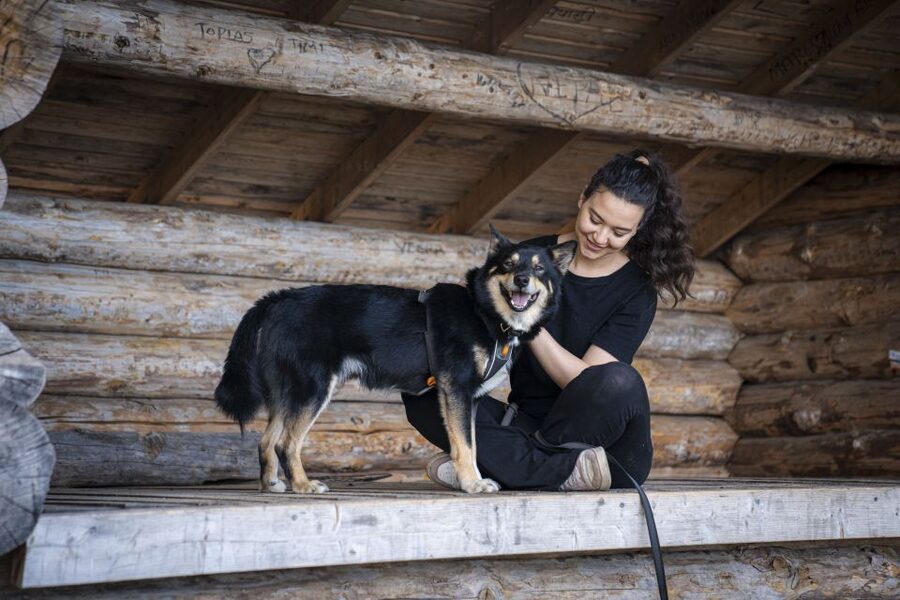 Rovaniemi: Hiking Experience with Lappish Dogs - The blueberry juice break that turns the trail into a pause, not a stop