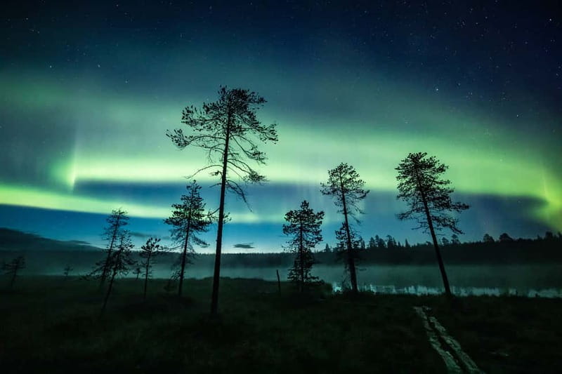 Rovaniemi: Horse Sleigh Ride under the Night Sky - Key things that make this ride worth your time