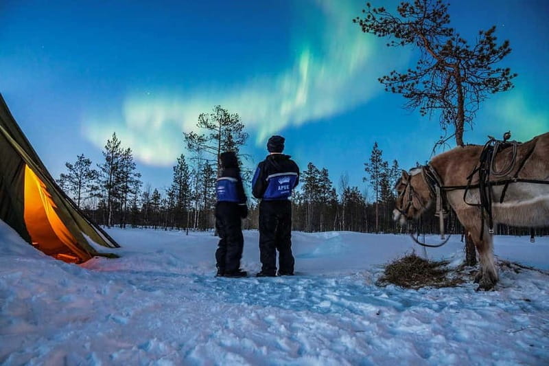 Rovaniemi: Horse Sleigh Ride under the Night Sky - Rovaniemi at night, from snow to stars
