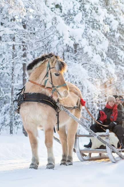 Rovaniemi: Horse Sleigh Ride under the Night Sky - Getting to Apukka Resort: the two pickup points that matter