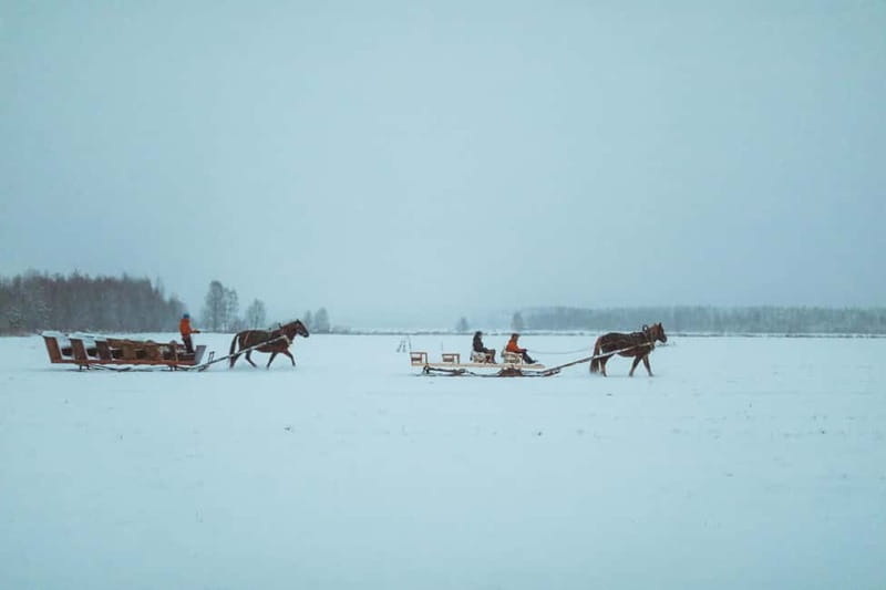 Rovaniemi: Horse Sleigh Ride under the Night Sky - Stop 1: meeting point energy and a smooth start