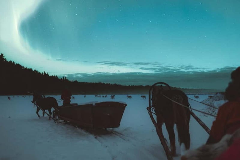 Rovaniemi: Horse Sleigh Ride under the Night Sky - Stop 2 at Apukka Resort: snowy trails, carriage time, and the fire