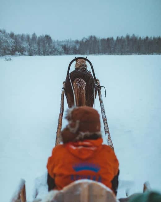 Rovaniemi: Horse Sleigh Ride under the Night Sky - The 3 km ride: what it feels like in the frost forests