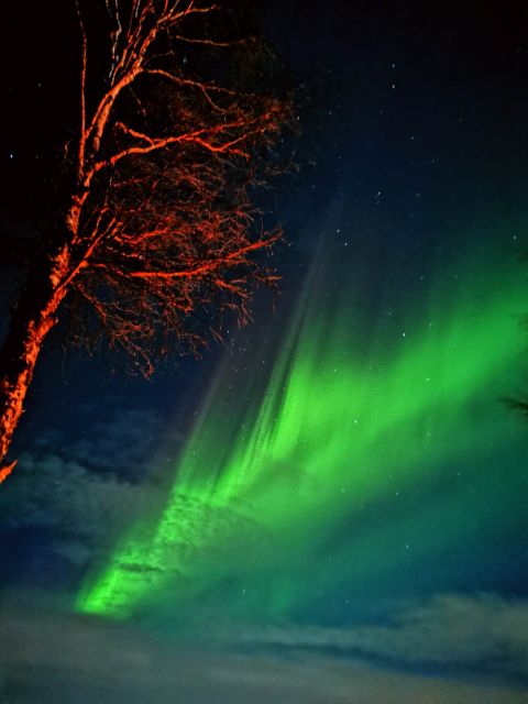 Rovaniemi Hunting Aurora at the Best Spots - Key things that make this aurora hunt work