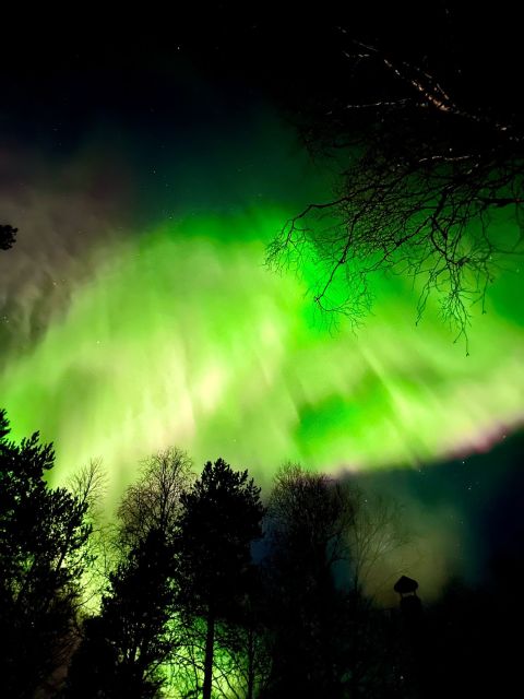 Rovaniemi Hunting Aurora at the Best Spots - The north drive: why leaving town matters