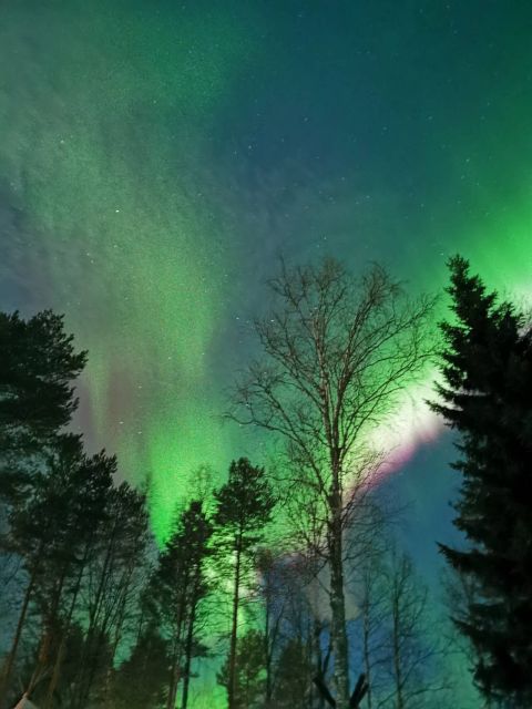 Rovaniemi Hunting Aurora at the Best Spots - Group size: why up to 8 can feel better than you expect