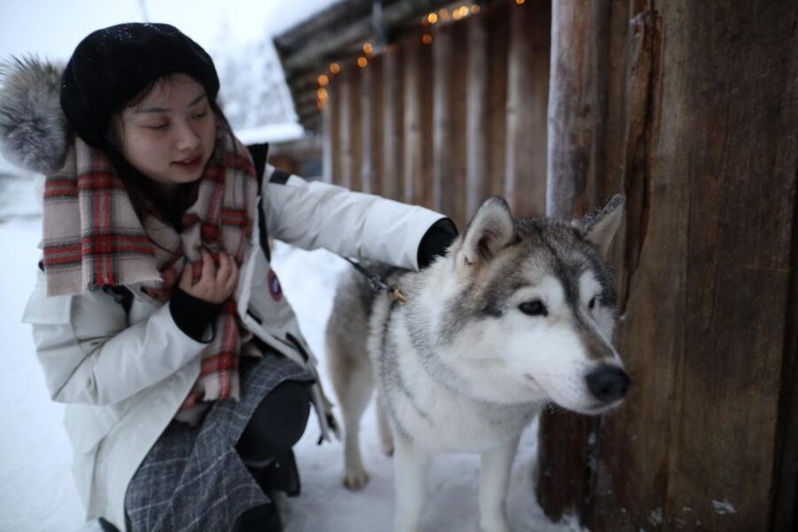 Rovaniemi: Husky and reindeer farm visit with sleigh rides - Season Twist: What Changes Before 1st of December