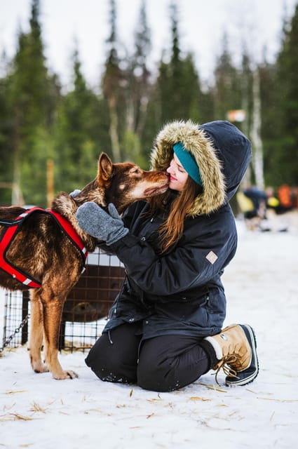 Rovaniemi: Husky and Reindeer farm with sleigh ride - Traditional Reindeer Farm: Feeding, Herding, and Real Calm
