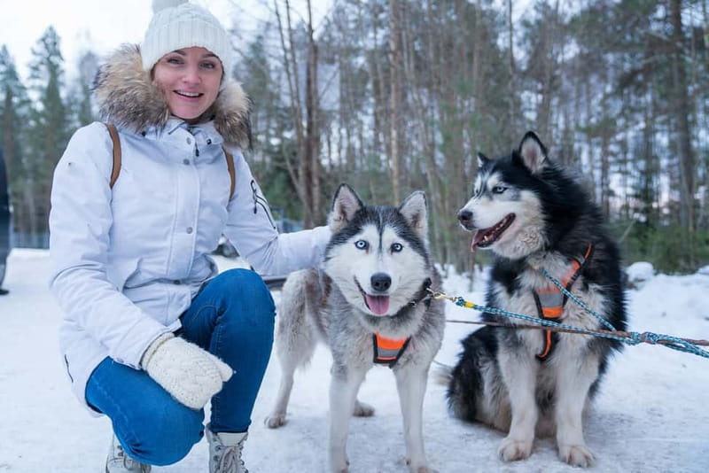Rovaniemi: Husky Farm and Reindeer Experience - Taking the Reins (Almost) With the Reindeer Sledge Driver’s License Moment