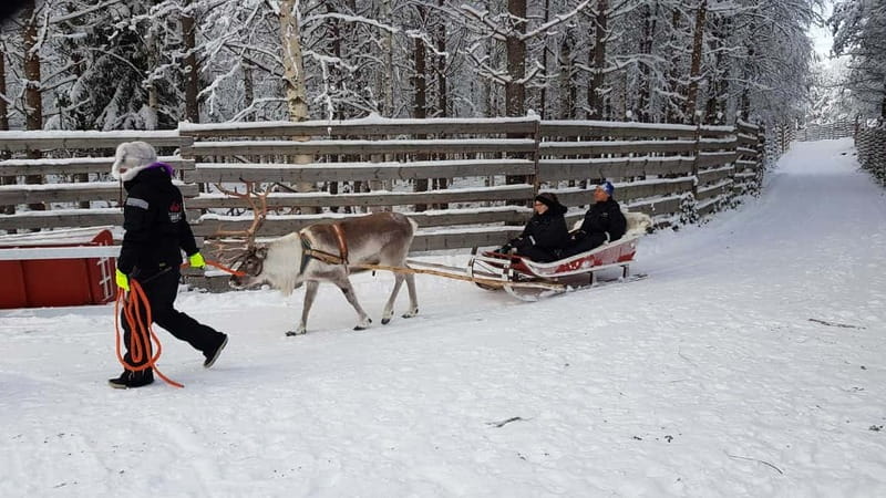 Rovaniemi: Husky Farm and Reindeer Experience - Warmth, Lunch, and the Real Comfort of Getting Fed