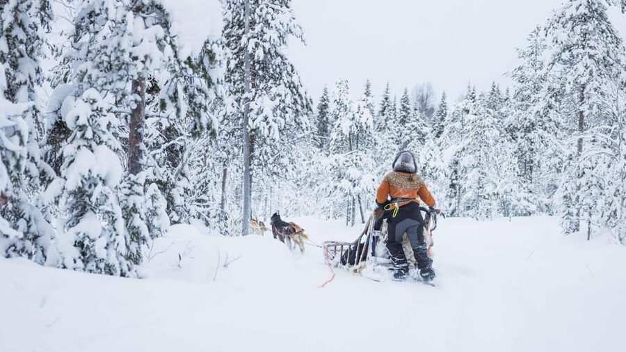 Rovaniemi: Husky Farm Visit with a Sledge Ride - On the Sled: How the Ride Length Changes the Experience
