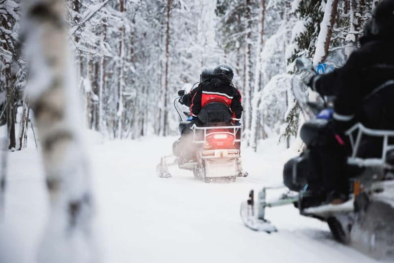 Rovaniemi: Husky & Reindeer Experience with Snowmobile Ride - Who This Tour Fits Best, and Who Should Rethink It