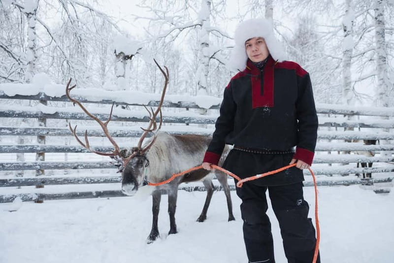 Rovaniemi: Husky & Reindeer Experience with Snowmobile Ride - A Full Day Built Around Snow, Animals, and Real Time Riding