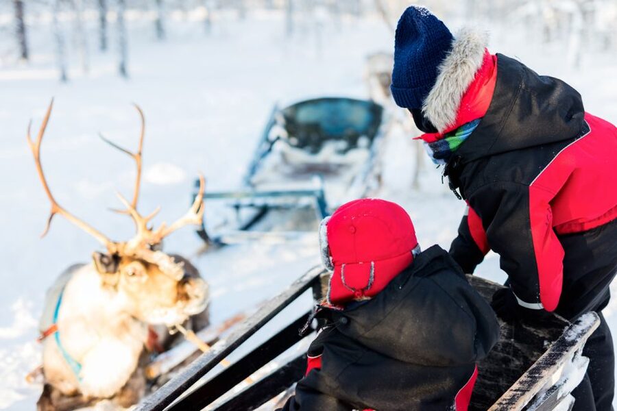 Rovaniemi: Husky & Reindeer Experience with Snowmobile Ride - Price and Value: Why $225 Can Make Sense Here