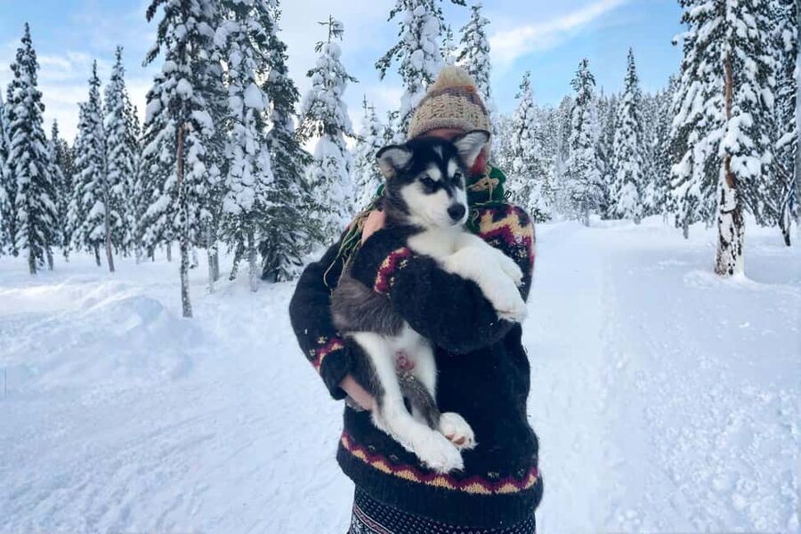 Rovaniemi: Husky Safari & Campfire BBQ – 6‑10 km Self‑Drive - How to Dress for Husky Mushing in Rovaniemi